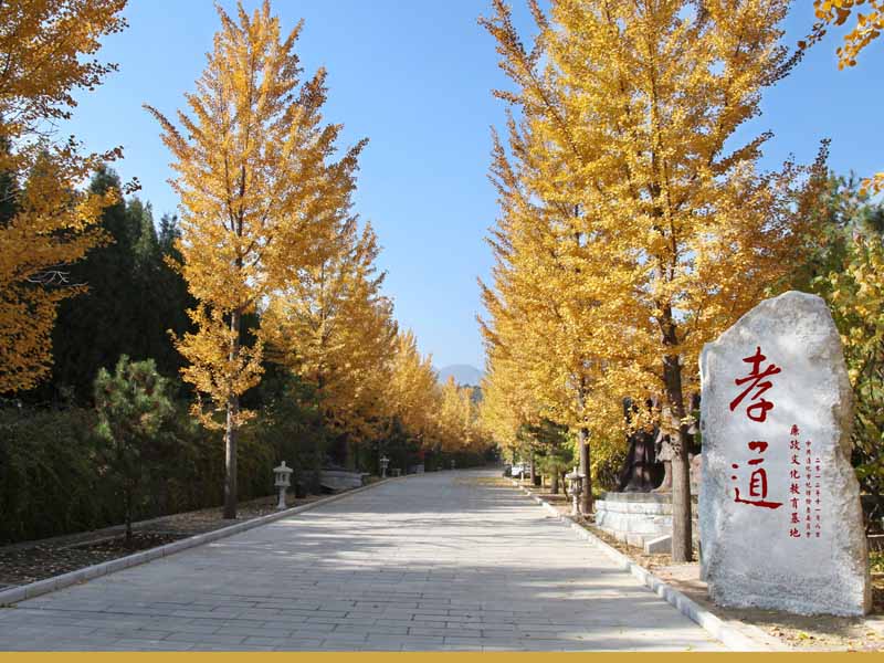清东陵万佛园：历史与人文交织的安息圣地
