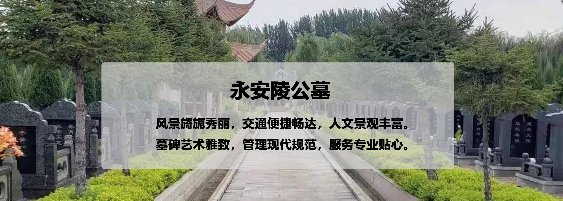 第三组广告